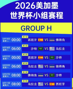 世界杯赛场激烈对抗